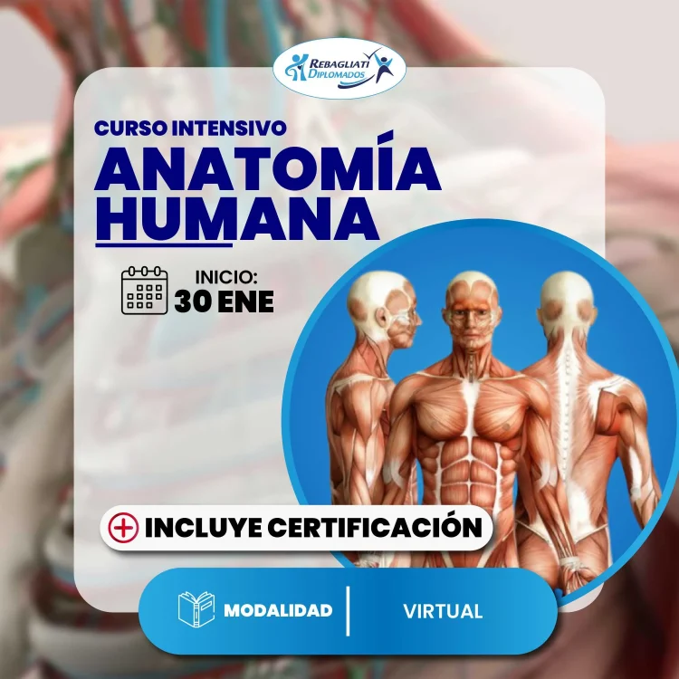 Curso Intensivo Anatomía Humana