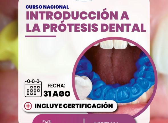 C310824-PROTESIS-CUADRADO