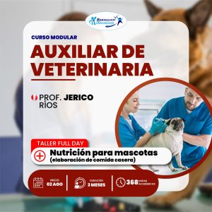 Curso Auxiliar de Veterinaria