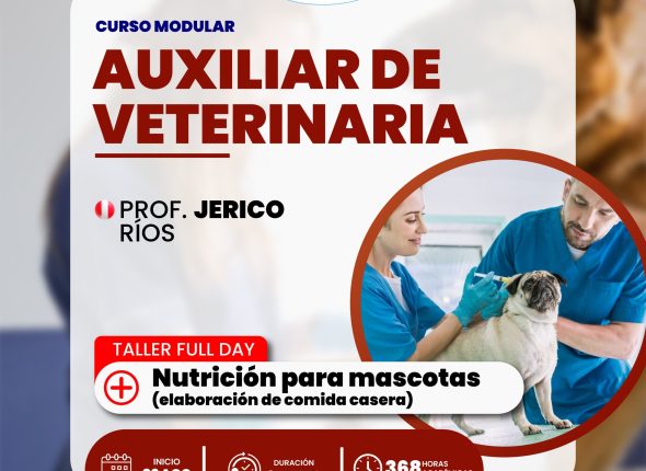 auxiliar de veterinaria