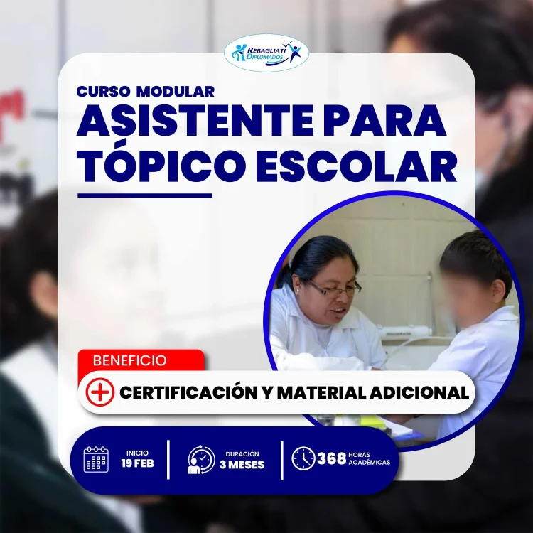 Curso Modular Asistente Para Tópico Escolar